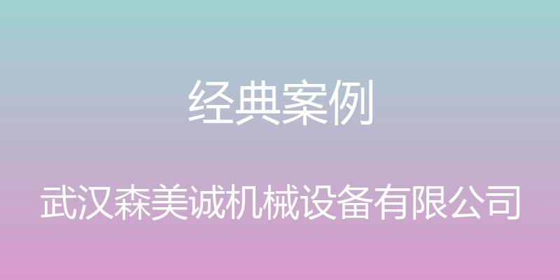 经典案例 - 武汉森美诚机械设备有限公司