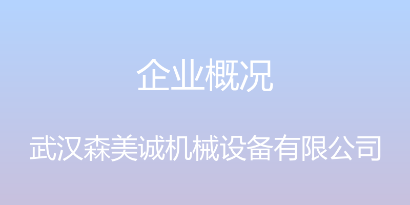 企业概况 - 武汉森美诚机械设备有限公司